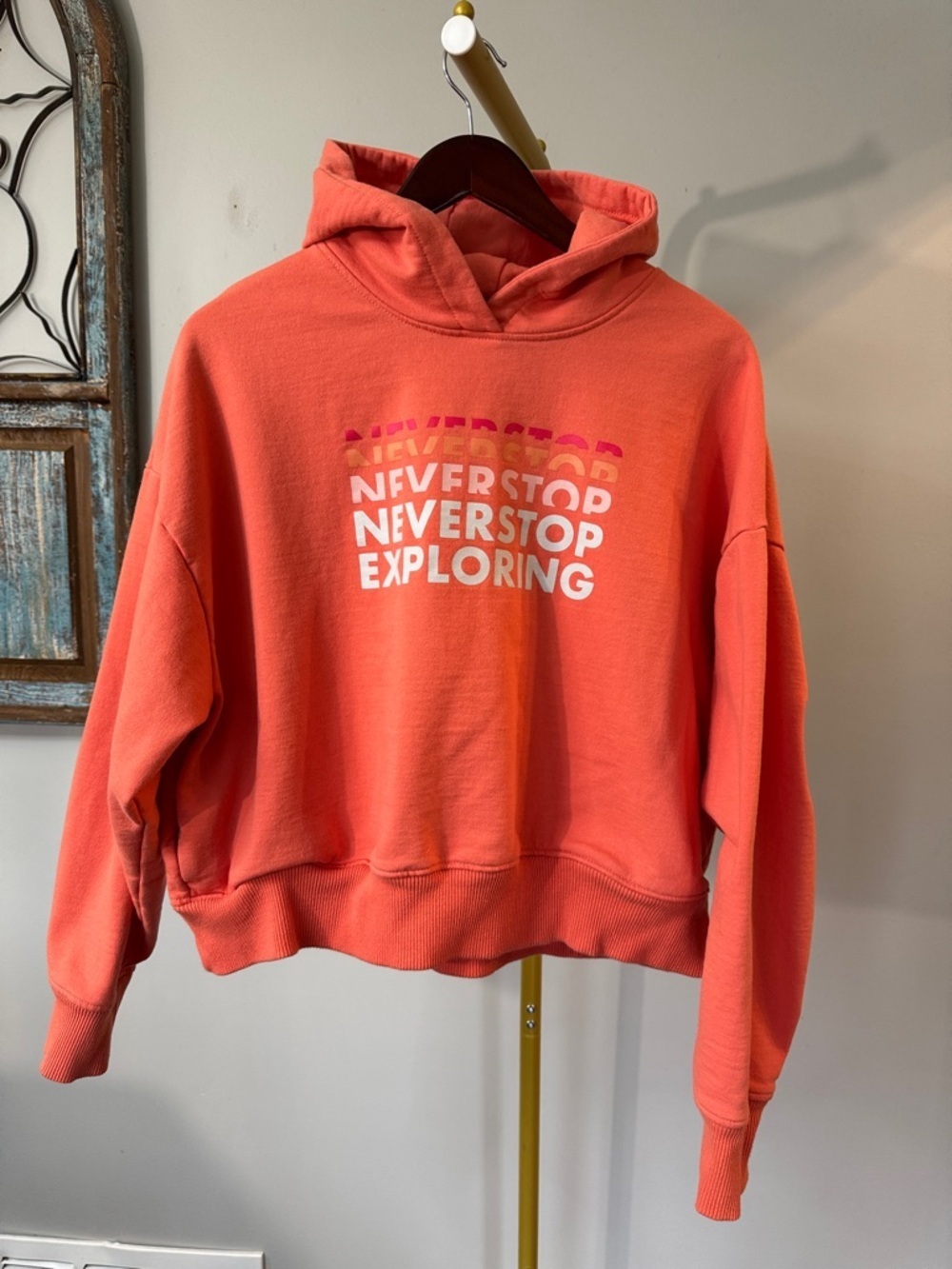 The North Face Coral 'Never Stop Exploring' Pullover Hoodie - Women's